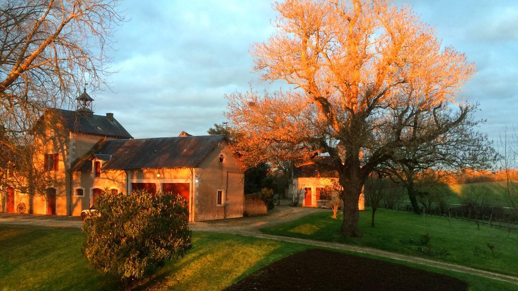 Vallenay B&B Chateau De Preuil المظهر الخارجي الصورة