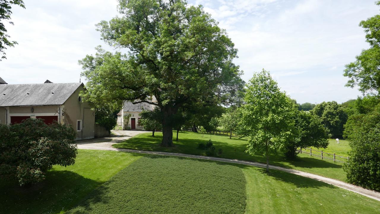 Vallenay B&B Chateau De Preuil المظهر الخارجي الصورة